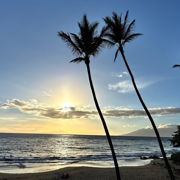 Meet your Posher, Tonya - Picture 10 of 17